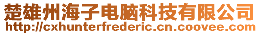 楚雄州海子電腦科技有限公司