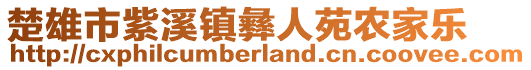 楚雄市紫溪鎮(zhèn)彝人苑農(nóng)家樂