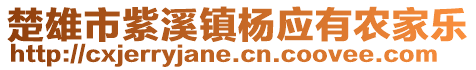 楚雄市紫溪鎮(zhèn)楊應(yīng)有農(nóng)家樂(lè)