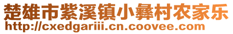 楚雄市紫溪鎮(zhèn)小彝村農(nóng)家樂