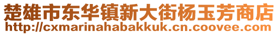 楚雄市東華鎮(zhèn)新大街楊玉芳商店