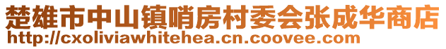 楚雄市中山鎮(zhèn)哨房村委會張成華商店