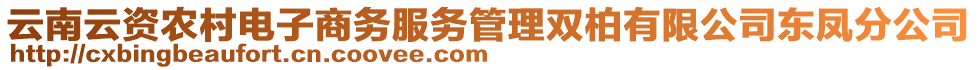 云南云資農(nóng)村電子商務(wù)服務(wù)管理雙柏有限公司東鳳分公司