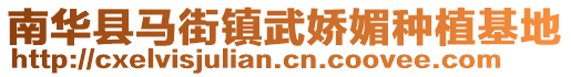 南華縣馬街鎮(zhèn)武嬌媚種植基地
