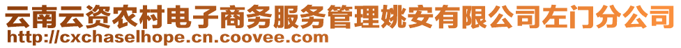 云南云資農(nóng)村電子商務(wù)服務(wù)管理姚安有限公司左門分公司