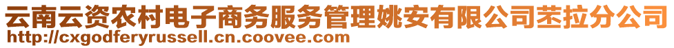 云南云資農(nóng)村電子商務(wù)服務(wù)管理姚安有限公司苤拉分公司