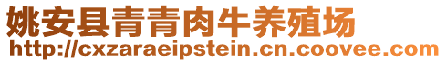 姚安县青青肉牛养殖场