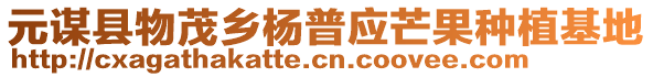 元謀縣物茂鄉(xiāng)楊普應(yīng)芒果種植基地