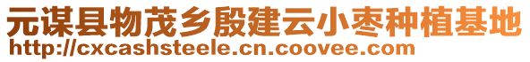 元謀縣物茂鄉(xiāng)殷建云小棗種植基地