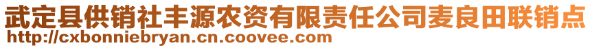 武定縣供銷社豐源農(nóng)資有限責(zé)任公司麥良田聯(lián)銷點(diǎn)