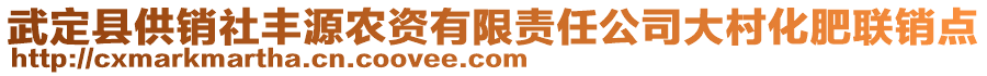 武定县供销社丰源农资有限责任公司大村化肥联销点