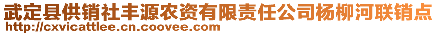 武定县供销社丰源农资有限责任公司杨柳河联销点