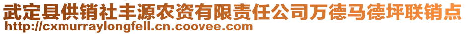 武定縣供銷社豐源農(nóng)資有限責(zé)任公司萬德馬德坪聯(lián)銷點(diǎn)