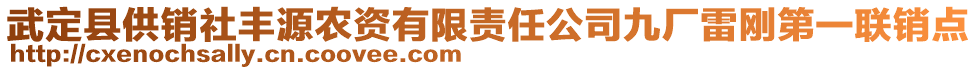 武定縣供銷社豐源農(nóng)資有限責(zé)任公司九廠雷剛第一聯(lián)銷點(diǎn)