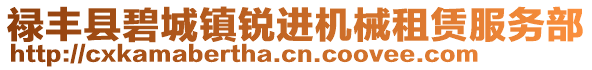 祿豐縣碧城鎮(zhèn)銳進(jìn)機(jī)械租賃服務(wù)部