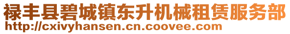 祿豐縣碧城鎮(zhèn)東升機(jī)械租賃服務(wù)部