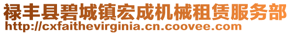 祿豐縣碧城鎮(zhèn)宏成機(jī)械租賃服務(wù)部