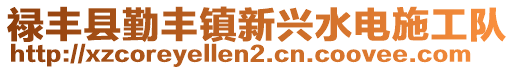 禄丰县勤丰镇新兴水电施工队