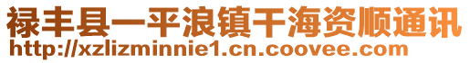 祿豐縣一平浪鎮(zhèn)干海資順通訊