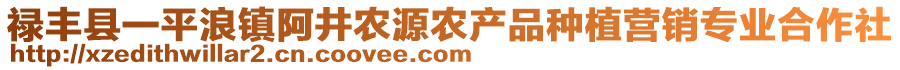 祿豐縣一平浪鎮(zhèn)阿井農(nóng)源農(nóng)產(chǎn)品種植營(yíng)銷專業(yè)合作社