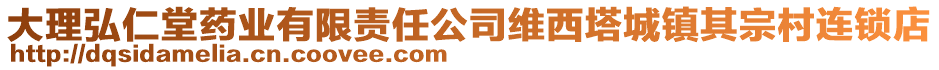 大理弘仁堂藥業(yè)有限責(zé)任公司維西塔城鎮(zhèn)其宗村連鎖店