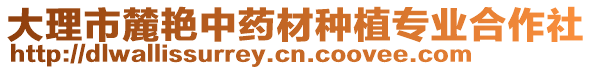 大理市麓艷中藥材種植專業(yè)合作社