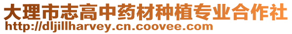 大理市志高中藥材種植專業(yè)合作社