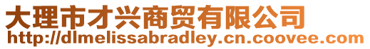 大理市才興商貿(mào)有限公司