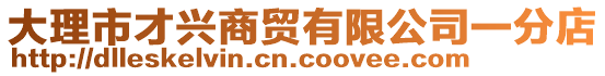 大理市才興商貿(mào)有限公司一分店