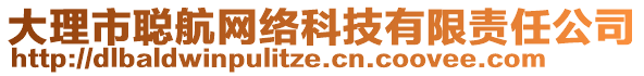 大理市聰航網(wǎng)絡(luò)科技有限責任公司