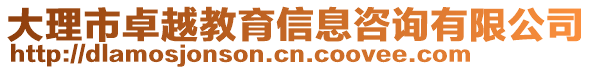 大理市卓越教育信息咨詢有限公司