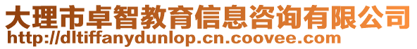 大理市卓智教育信息咨詢有限公司