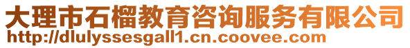 大理市石榴教育咨詢服務(wù)有限公司