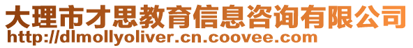 大理市才思教育信息咨詢有限公司