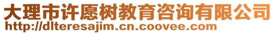 大理市許愿樹教育咨詢有限公司