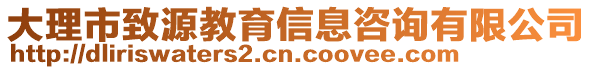 大理市致源教育信息咨詢有限公司