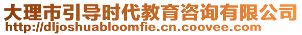 大理市引導(dǎo)時(shí)代教育咨詢有限公司