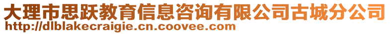 大理市思躍教育信息咨詢有限公司古城分公司