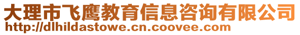 大理市飛鷹教育信息咨詢有限公司