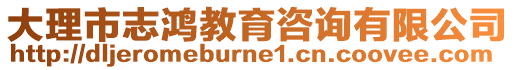 大理市志鴻教育咨詢有限公司