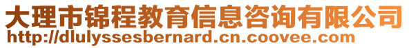 大理市錦程教育信息咨詢有限公司