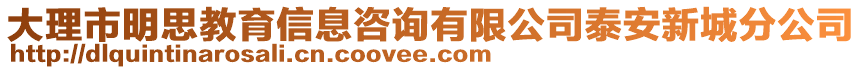 大理市明思教育信息咨詢有限公司泰安新城分公司