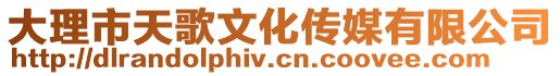 大理市天歌文化傳媒有限公司