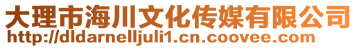 大理市海川文化傳媒有限公司