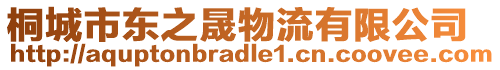 桐城市東之晟物流有限公司