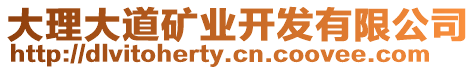 大理大道礦業(yè)開發(fā)有限公司