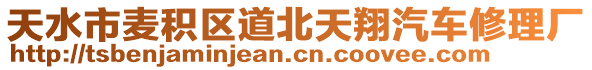 天水市麥積區(qū)道北天翔汽車修理廠