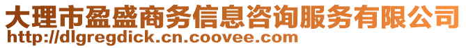 大理市盈盛商務信息咨詢服務有限公司