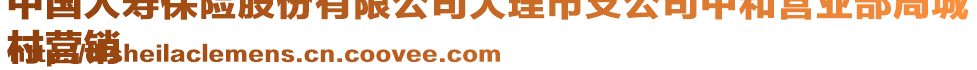 中國人壽保險股份有限公司大理市支公司中和營業(yè)部周城
村營銷