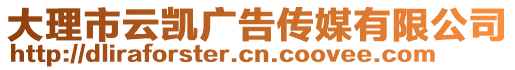 大理市云凱廣告?zhèn)髅接邢薰? style=